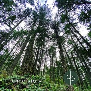 Understory - Single cover