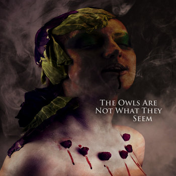 洋楽 V/Vm The Owls Are Not What They Seem V/Vm - The Owls Are Not What They Seem [MUFF004] (Vinyl Rip