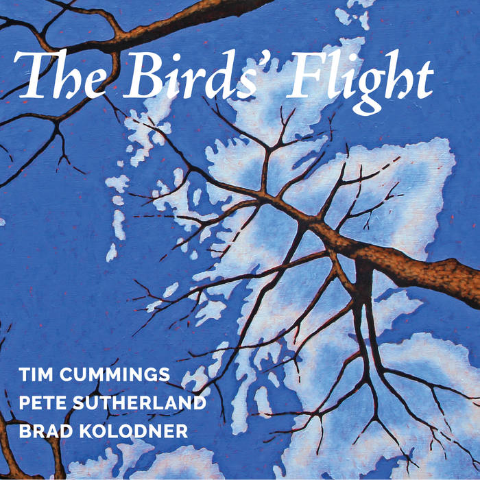 The Birds' Flight | Tim Cummings, Pete Sutherland, Brad Kolodner
