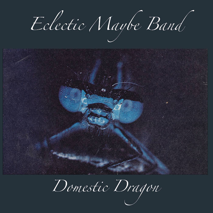 Domestic Dragon - 214CD (2026) | Eclectic Maybe Band | Discus Music