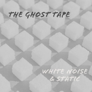 WhiteNoise&Static cover