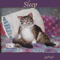 Sleep cover art