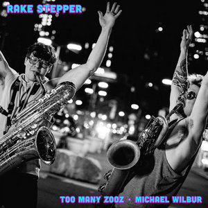 Rake StepperToo Many Zooz + Michael Wilbur cover