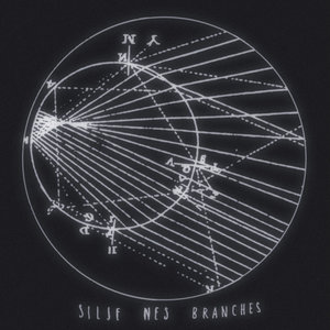 Branches cover