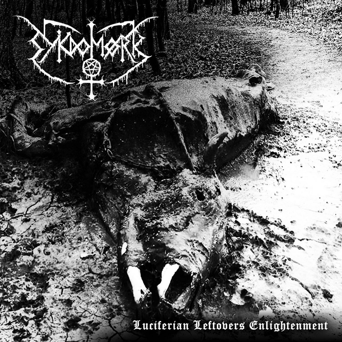 輸入盤CD NOCTURNO D.HOFFMAN L.ZURCHER Sykdomørk - Luciferian Leftovers Enlightenment | Distro