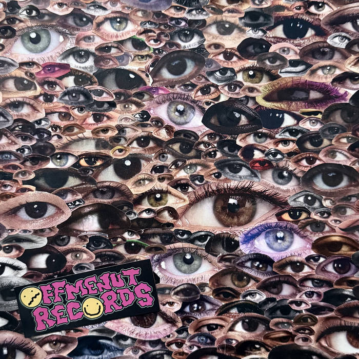レア自主制作盤 THE FRANKEN MISTY BROTHERS BAND The Franken Misty Brothers Band Discography: Vinyl, CDs