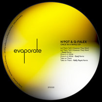 N'Pot & G-Falex — [ZFD033] Once In A While EP (Incl. Zwed, Gudj & Raffy Peyré Remixes)