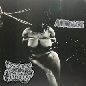 Split With Anthrogore cover