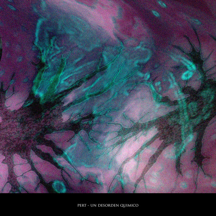 Pert Un Desorden Quimico Xelima Records Merien Records