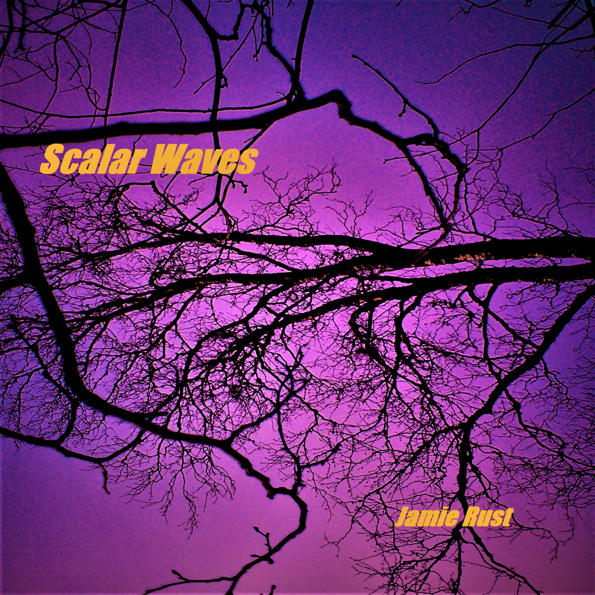 Scalar Waves | Jamie Rust