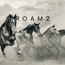 Roam 2 cover art