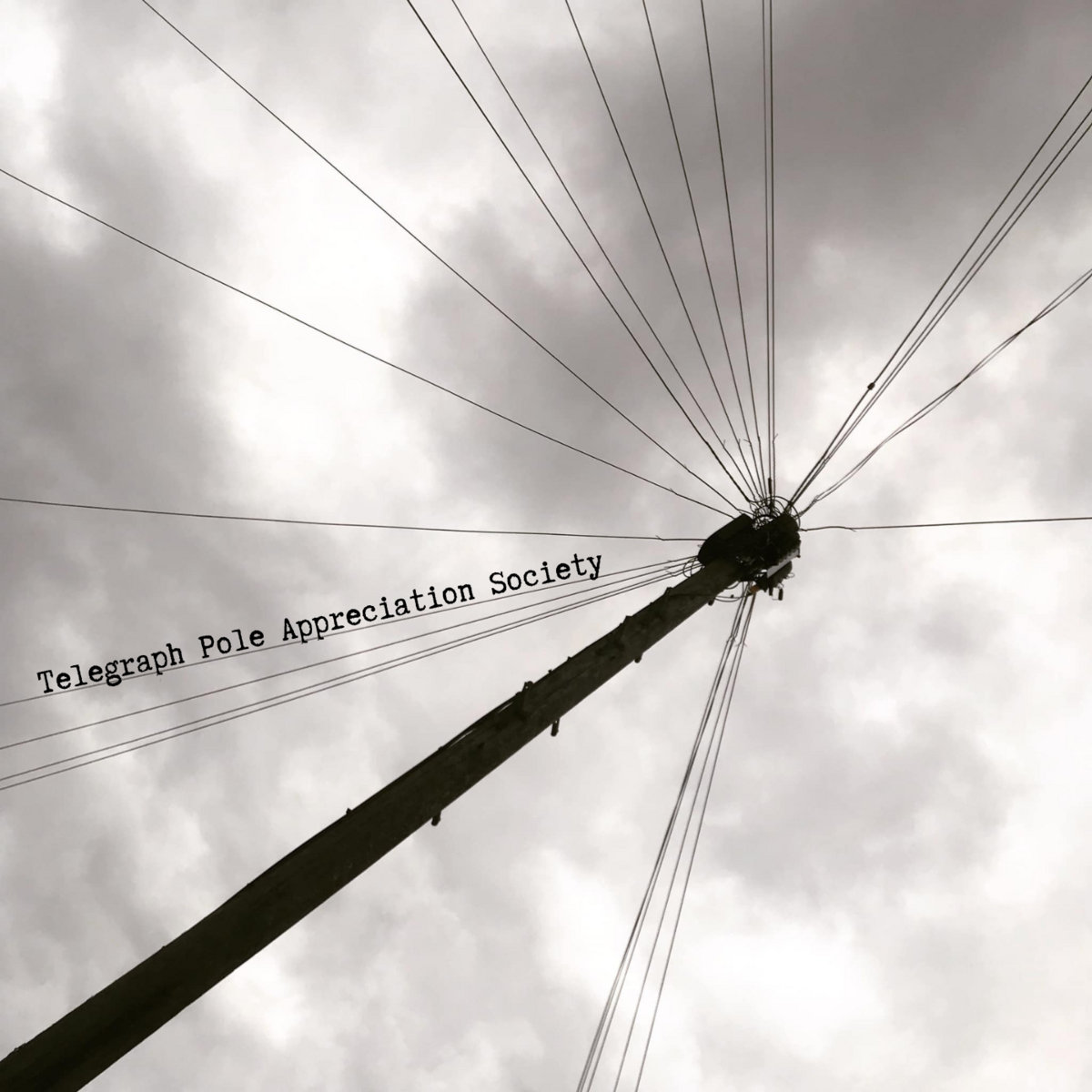 Telegraph Pole Appreciation Society - EP cover