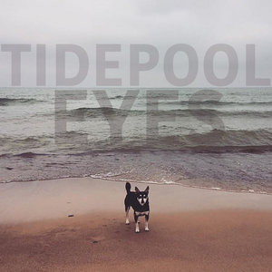 Tidepool Eyes cover