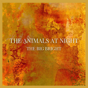 The Big Bright cover