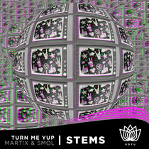 Turn Me Yup Remix Stems w/ Mart!x & smol cover art