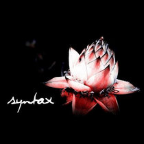 Syntax 2009 cover art