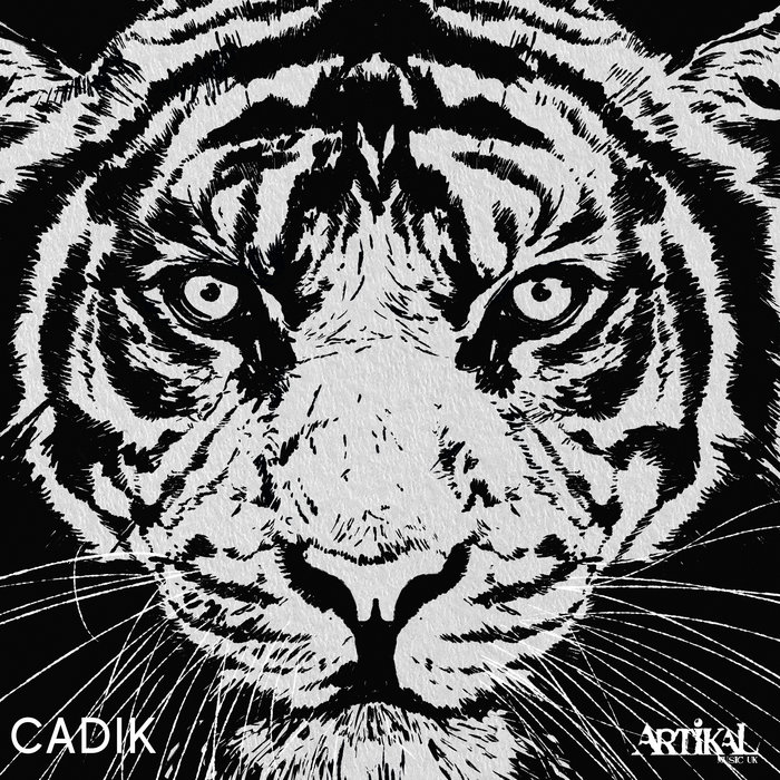 Pochette de Tiger Heart par Cadik