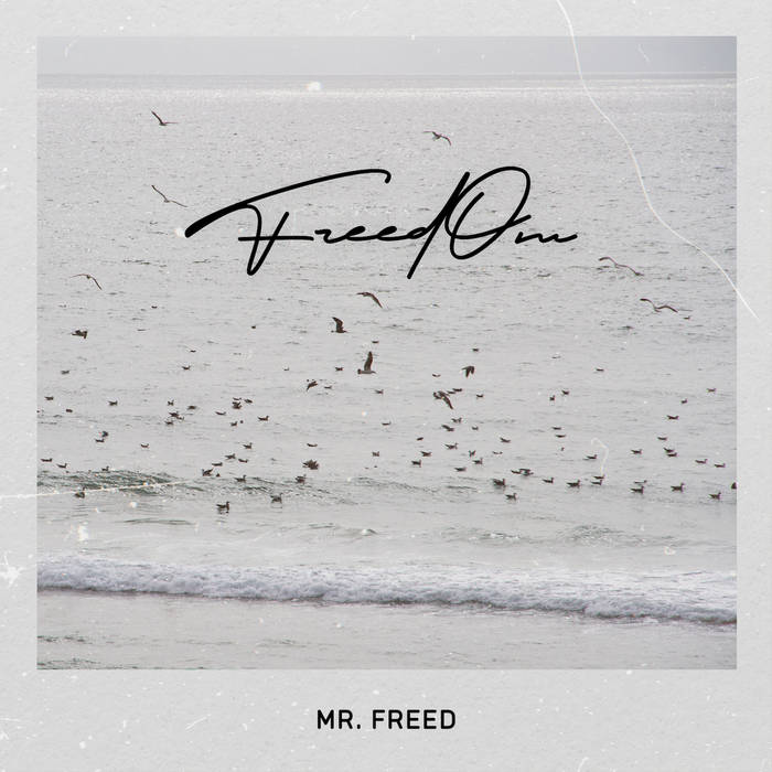 FreedOm | Mr. Freed