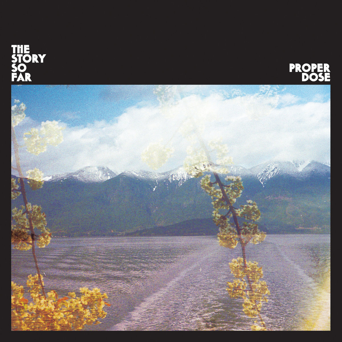 proper dose pure noise records