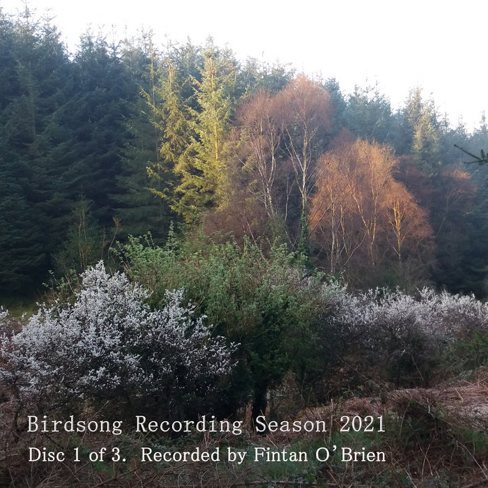 Birdsong Recording Season 2021 Disc 1 of 3 Fintan O'Brien