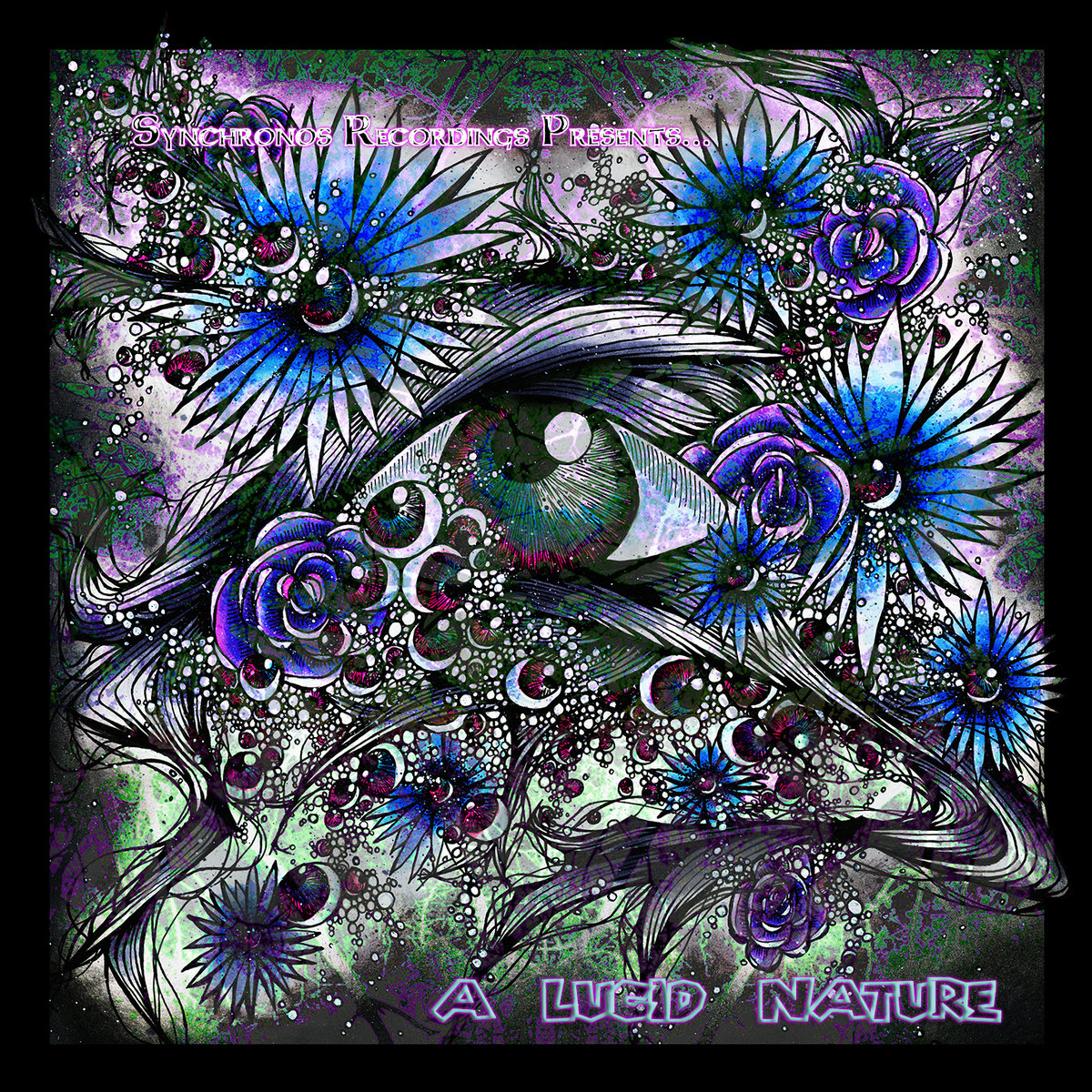A Lucid Nature album cover