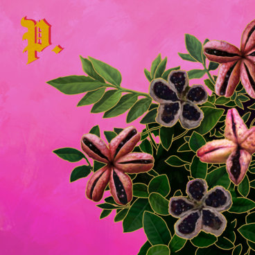 Part-Timer main photo