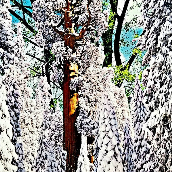 diarreavisual's collection Bandcamp