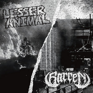 Lesser Animal / Barren (split ep)Lesser Animal / Barren cover