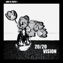 20/20 Vision cover art