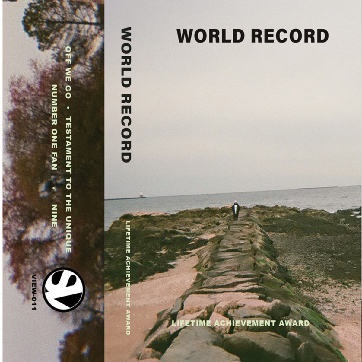 World Record — Lifetime Achievement Award cover
