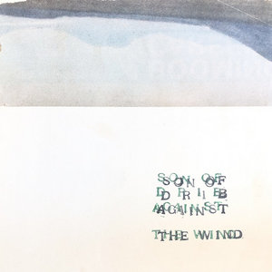 Son of Drib Against the Wind cover