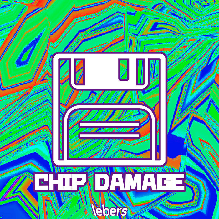 CHIP DAMAGE lebers