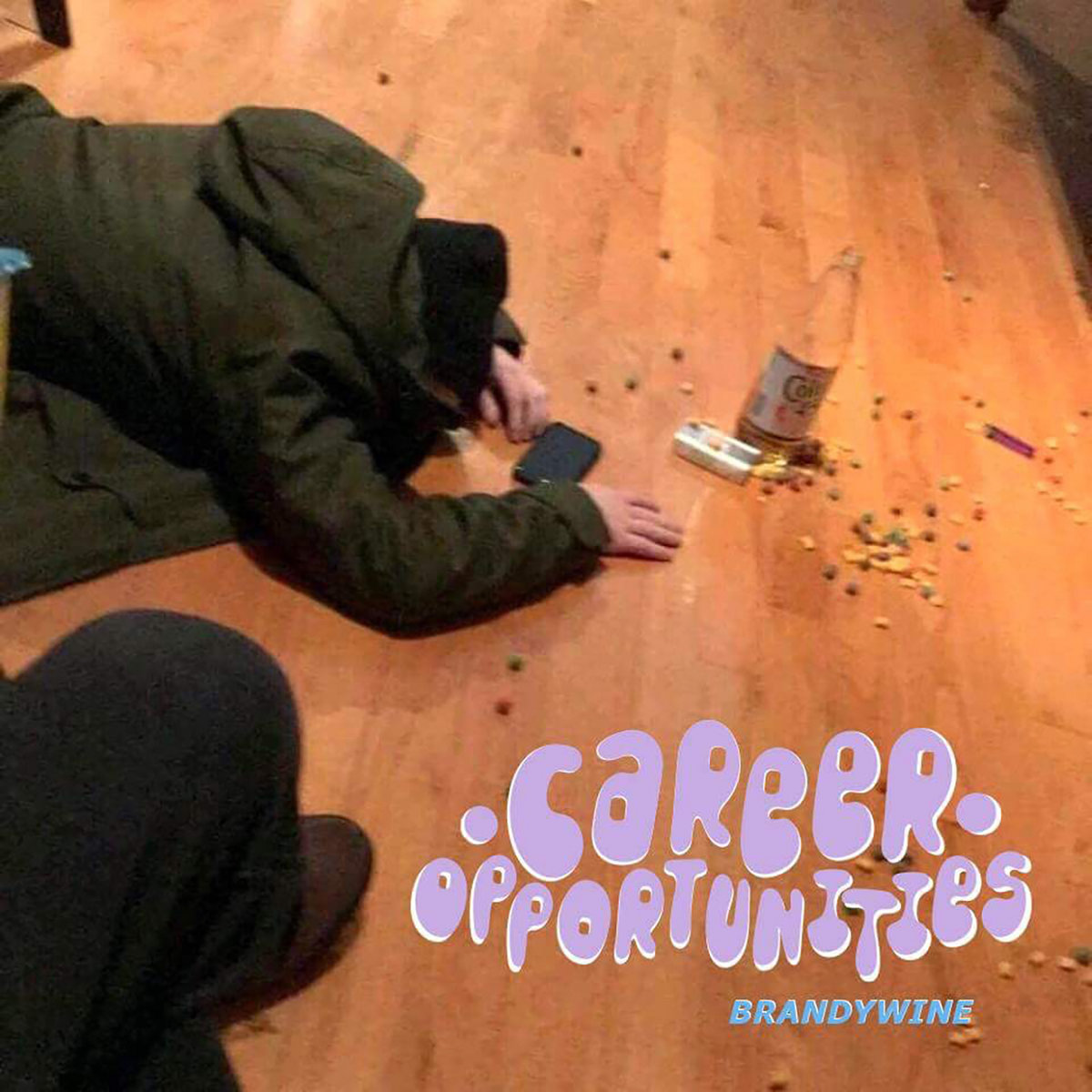 BRANDYWINE Career Opportunities