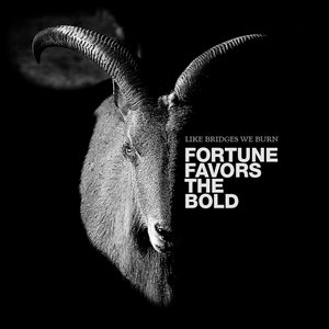 Fortune Favors the Bold cover