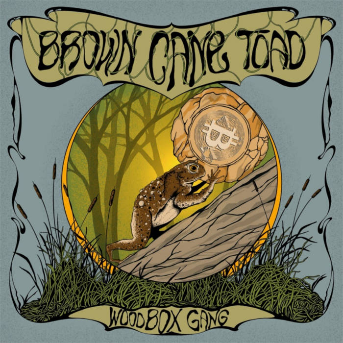 Brown Cane Toad | Woodbox Gang