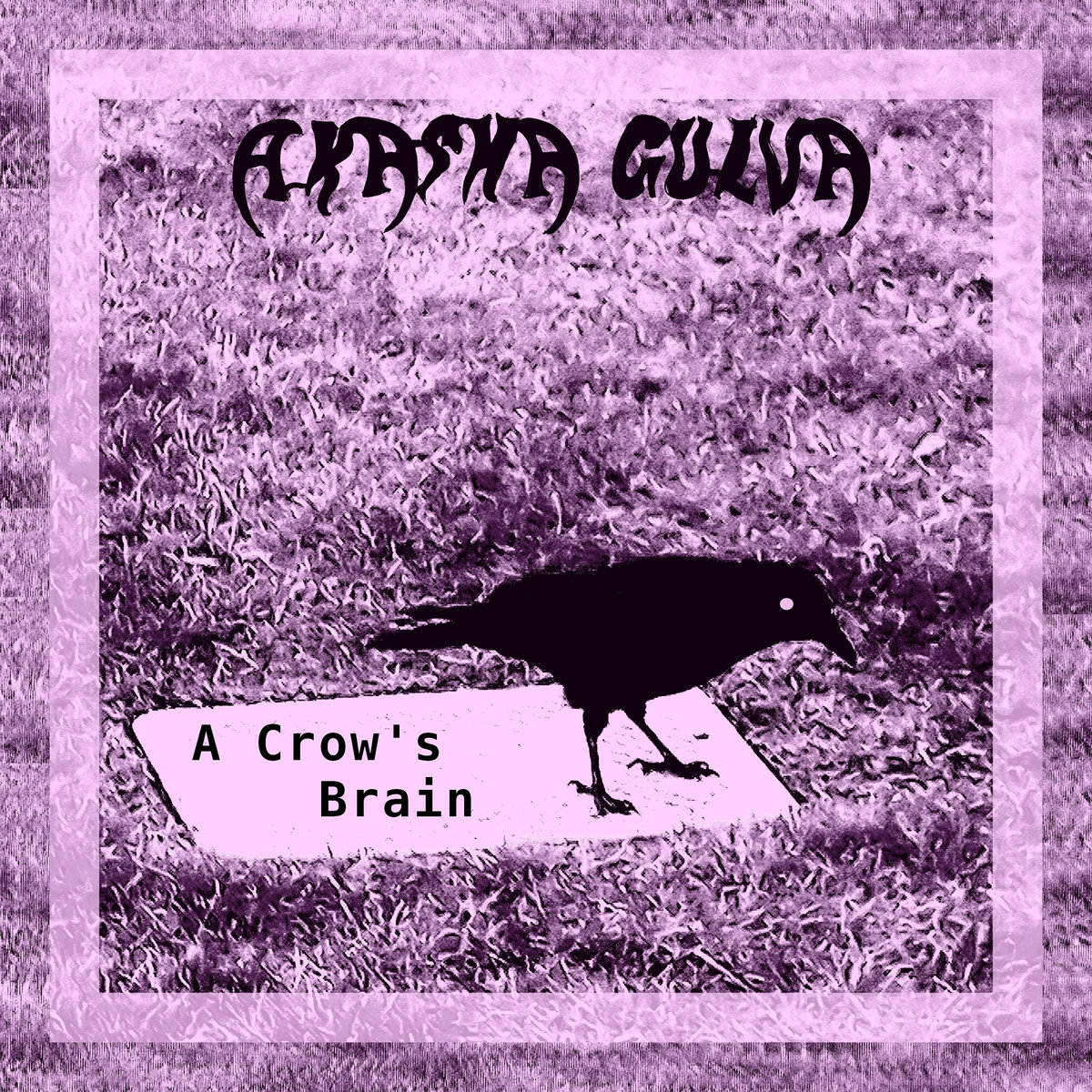 A Crow's Brain | Akasha Gulva
