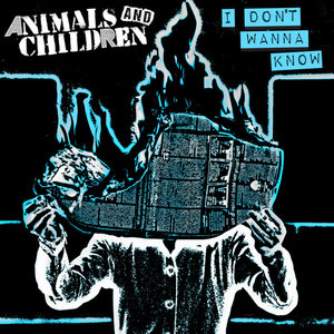 I Don't Wanna Know cover