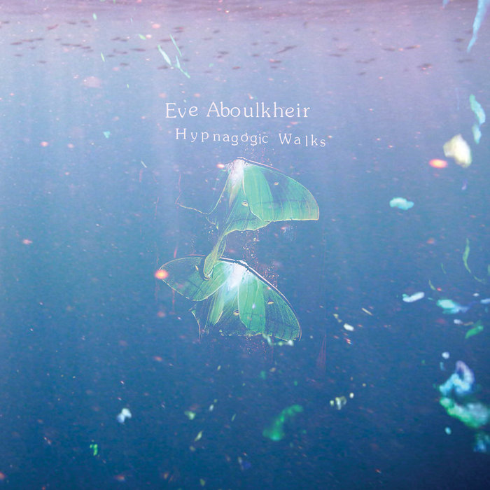 Hypnagogic Walks, by Eve Aboulkheir