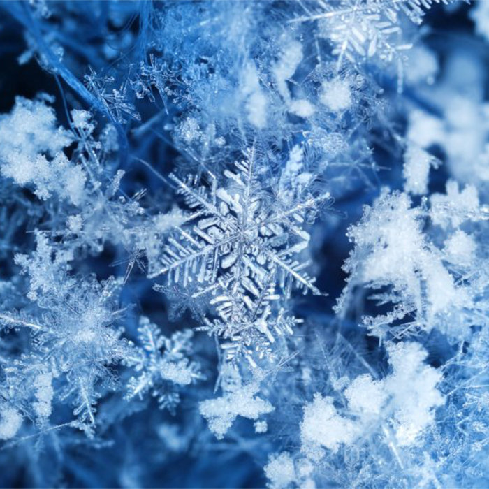 fluffy❄︎snow a2352991866_5.jpg