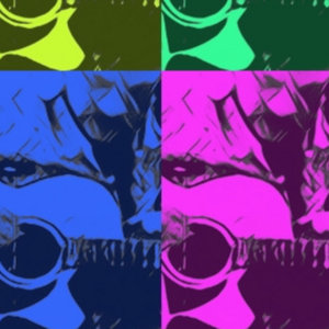 Behold the Troubadour cover