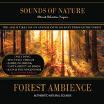 Forest Ambience (Nature Sounds)