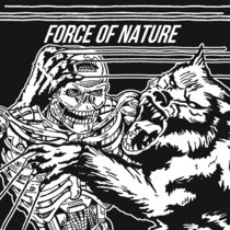 Force Of Nature cover art