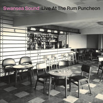 shiny happy records — SWANSEA SOUND - Live at The Rum Puncheon (Cassette)