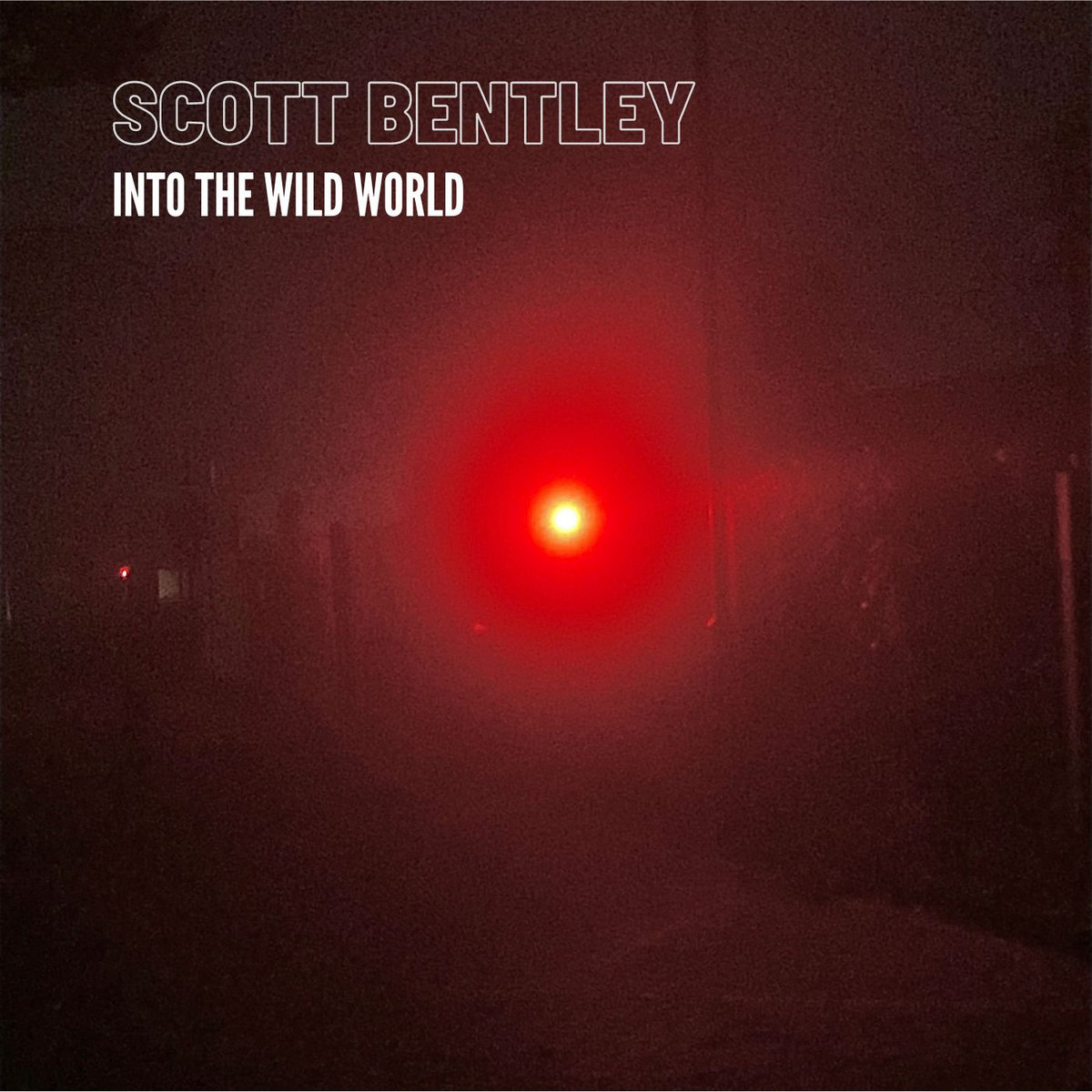 into-the-wild-world-scott-bentley
