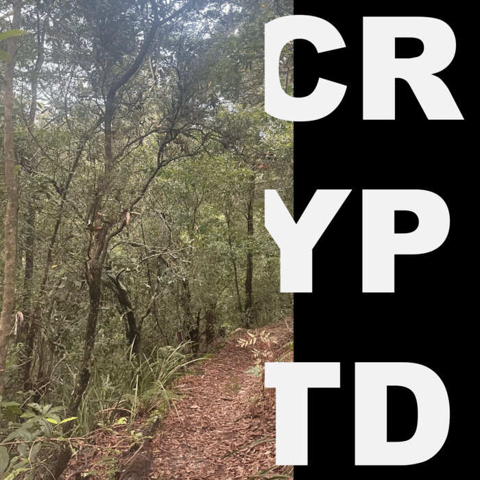 CRYPTD | 80T