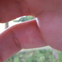 Creme Buble (Nothing Into Something LP) cover art