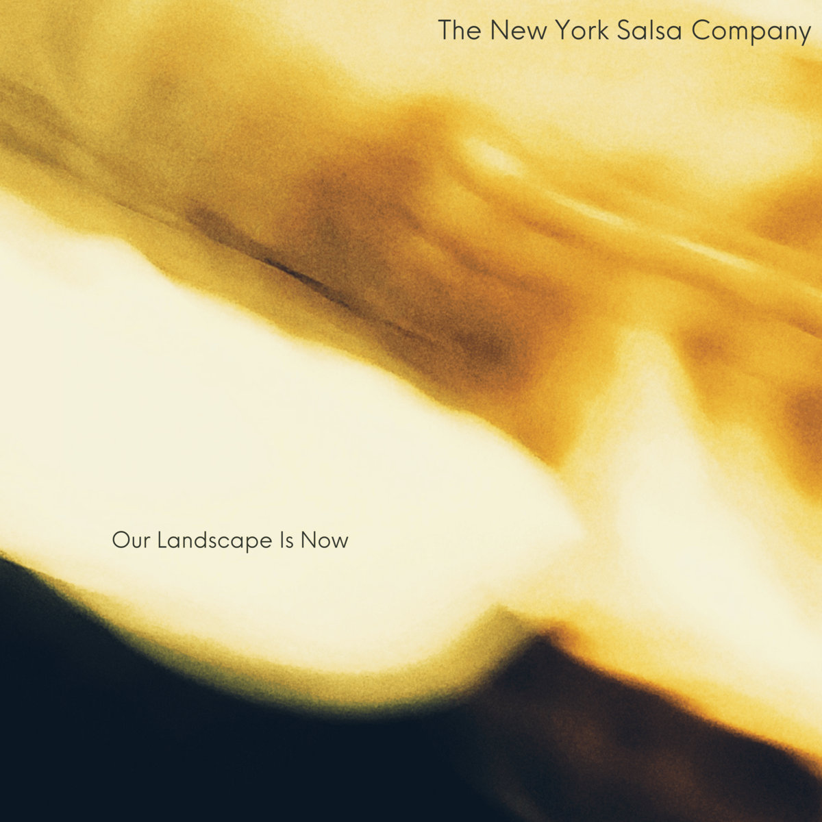 Our Landscape Is Now cover