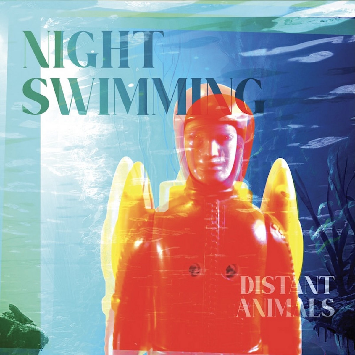 Night Swimming | Distant Animals
