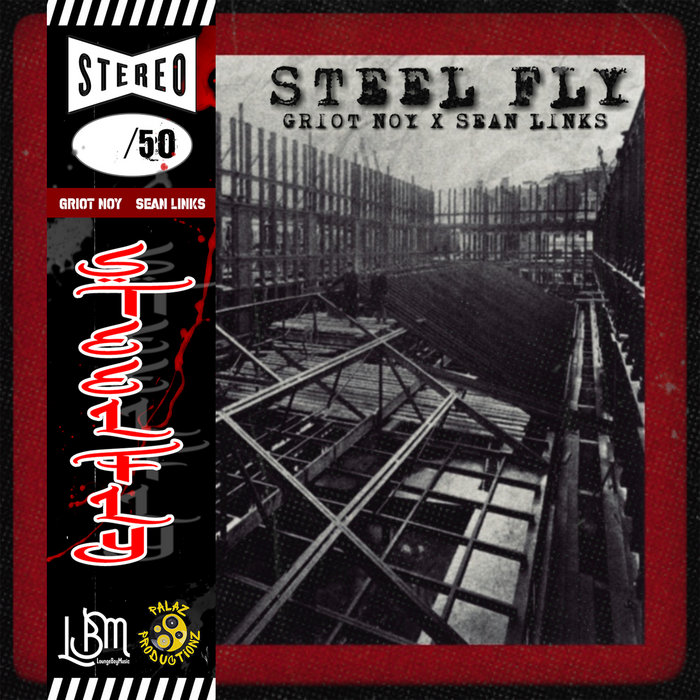 STEEL FLY 