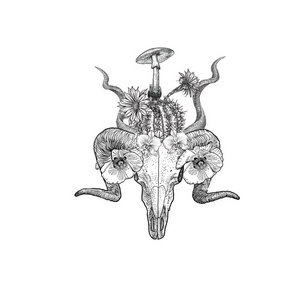 Banshee Tree — Spare Me